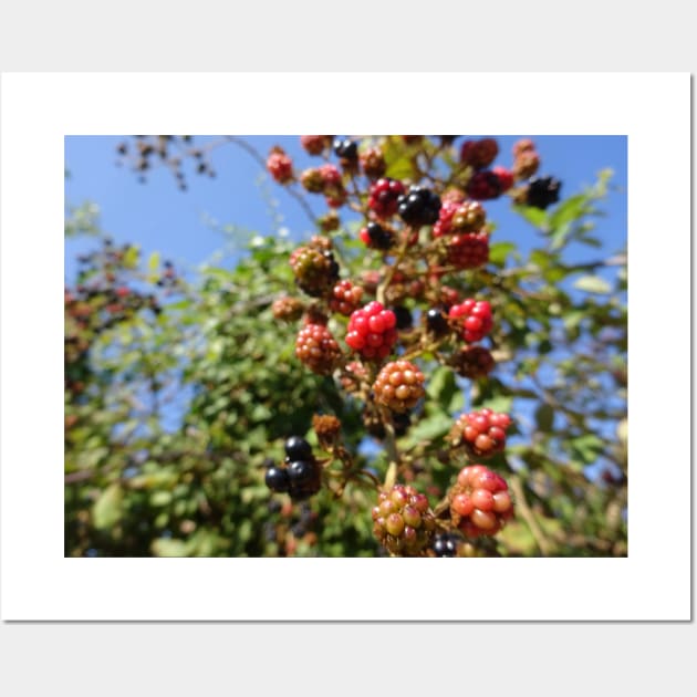 Anyone like blackberries? Wall Art by walter festuccia